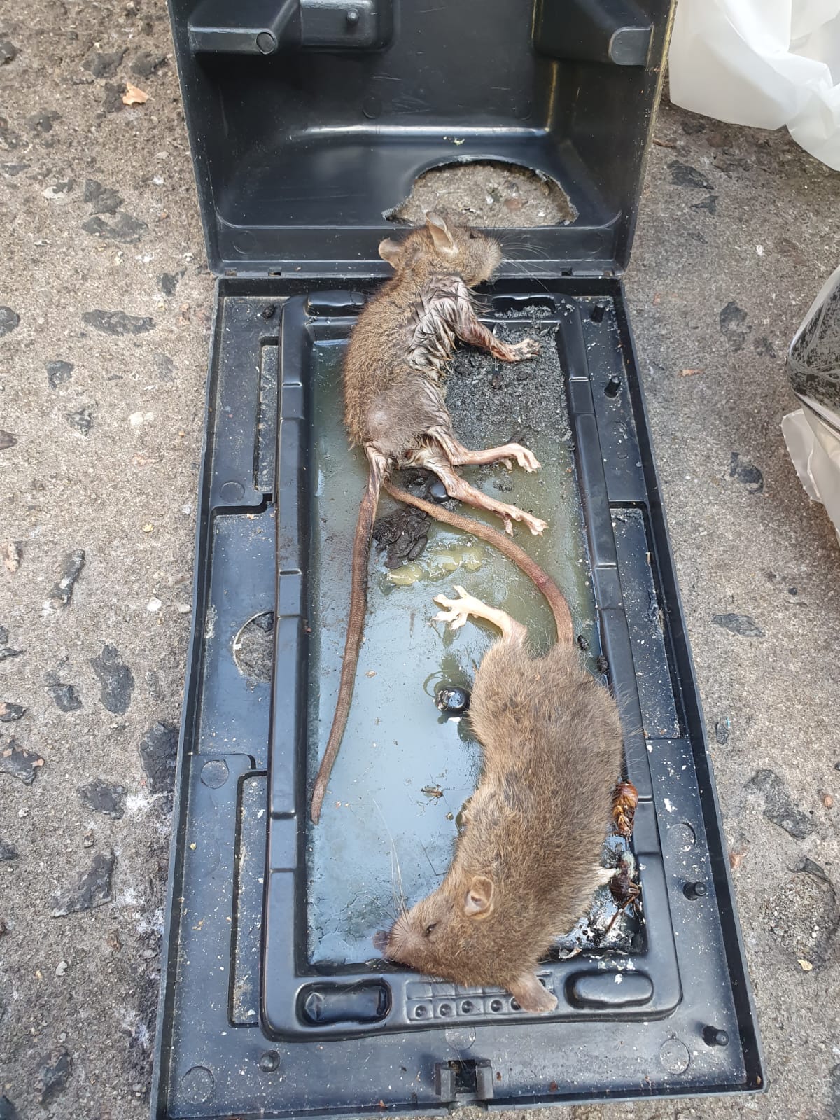 WhatsApp Image 2025-07-15 at 13.34.08 (2)