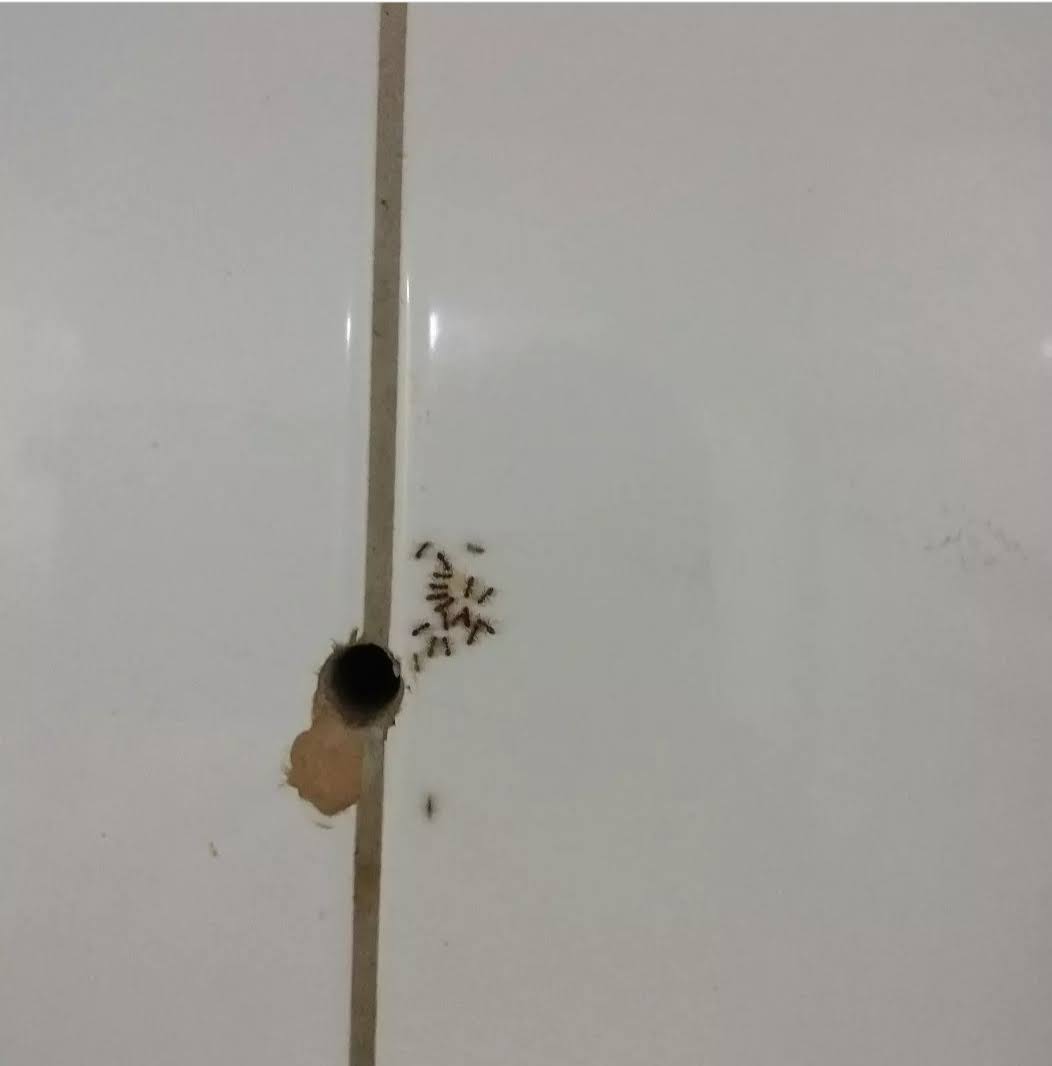 WhatsApp Image 2025-07-15 at 13.34.08