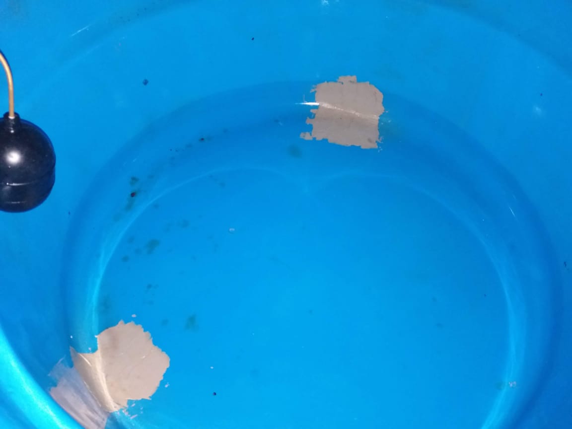 WhatsApp Image 2025-07-15 at 13.34.10