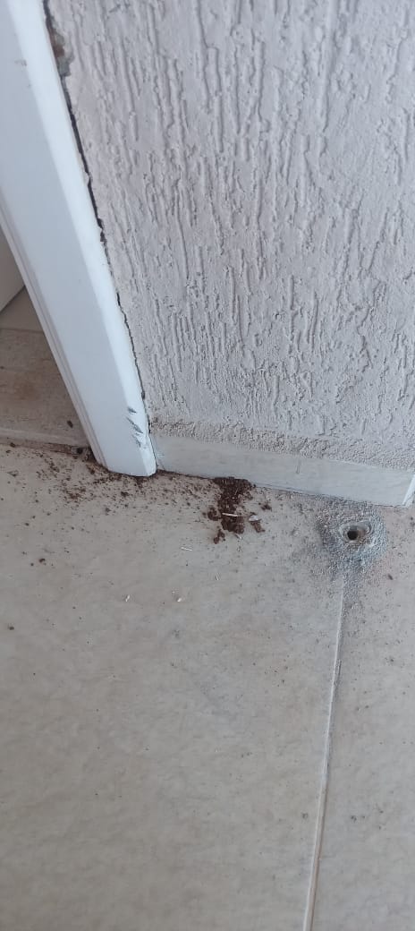 WhatsApp Image 2025-07-15 at 20.33.49