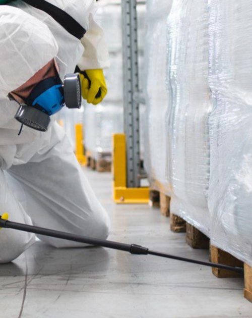 desinsetizacao-deposito